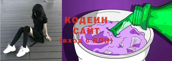прущие крисы Вяземский