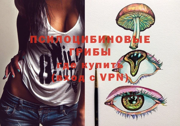 соль ск Горнозаводск