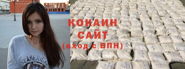 соль ск Горнозаводск
