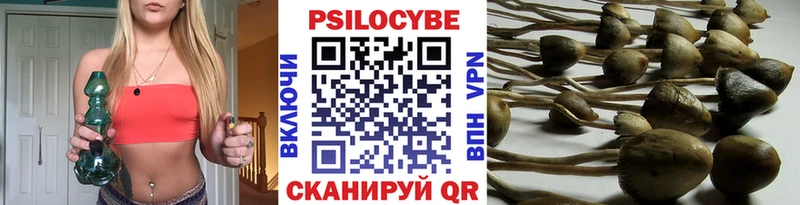 Псилоцибиновые грибы MAGIC MUSHROOMS  Купить закладки  Новоульяновск 